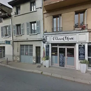 Immeuble De Charme Appartement